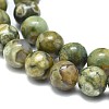 Natural Rhyolite Jasper Beads Strands G-F674-03A-8mm-3