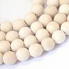 Frosted Natural Fossil Round Bead Strands G-E334-6mm-22-1