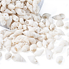 Natural Trumpet Shell Beads BSHE-KS0001-01-5