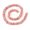 1 Strand Natural Freshwater Shell Beads Strands SHEL-TA0001-35B-1