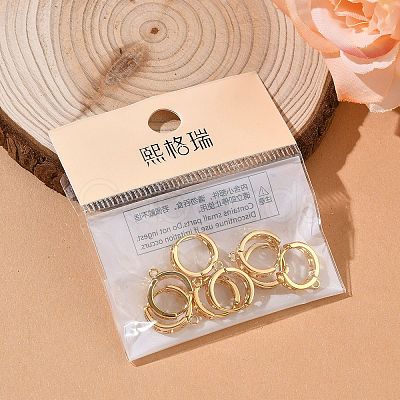 SHEGRACE Brass Hoop Earrings Findings XGR0151G-89G-1