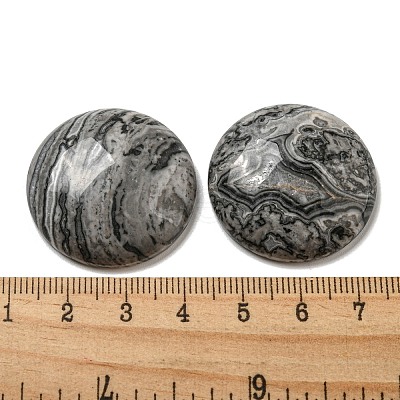 Natural Map Stone Cabochons G-C115-02B-20-1