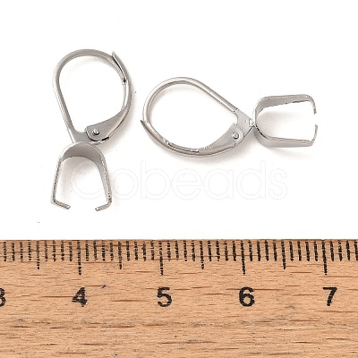 304 Stainless Steel Leverback Earring Findings STAS-U025-01P-02-1