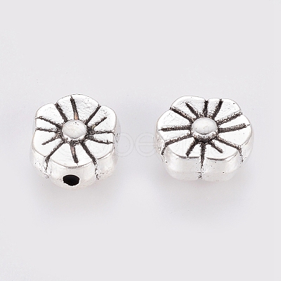 Tibetan Style Alloy Beads LF10884Y-1