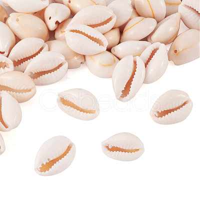 Natural Cowrie Shell Beads BSHE-TA0001-01-1