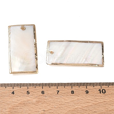 Natural Shell Pendants SH-CBACA76-12-1