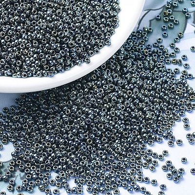 MIYUKI Round Rocailles Beads X-SEED-G007-RR0456-1