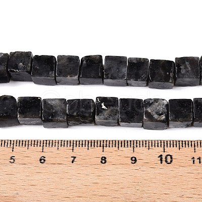 Natural Larvikite Beads Strands G-T139-8x8-25A-1