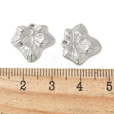 304 Stainless Steel Pendants STAS-L080-021P-1