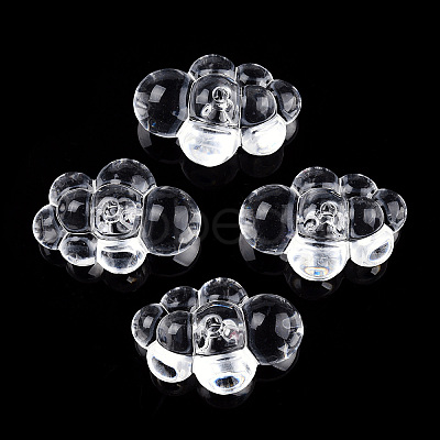 Transparent Acrylic Beads TACR-T026-01-1