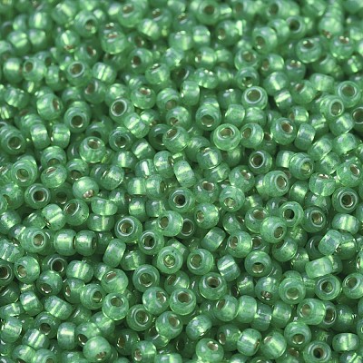 MIYUKI Round Rocailles Beads SEED-G007-RR0646-1