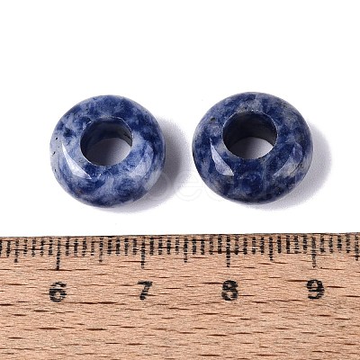 Natural Blue Spot Jasper European Beads G-N359-17A-07-1