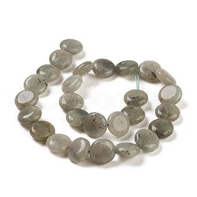 Natural Labradorite Beads Strands G-M403-C09-01-1