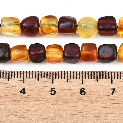 Two Tone Natural Amber Beads Strands G-K426-A03-04-1