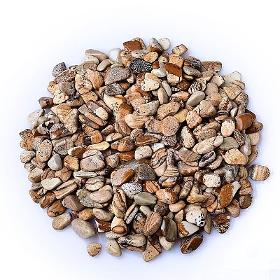 Natural Picture Jasper Tumbled Chips PW-WGA7DCE-23-1