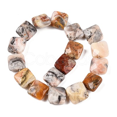 Natural Crazy Agate Beads Strands G-T138-164-1