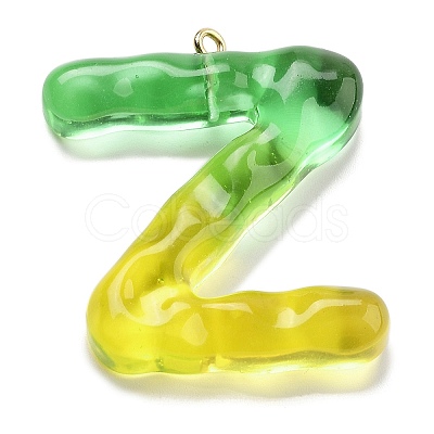 Resin Pendant FIND-Q107-01Z-02-1