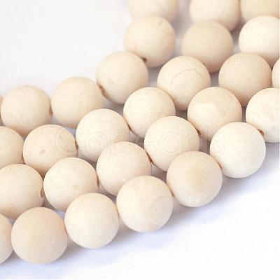 Frosted Natural Fossil Round Bead Strands G-E334-6mm-22-1