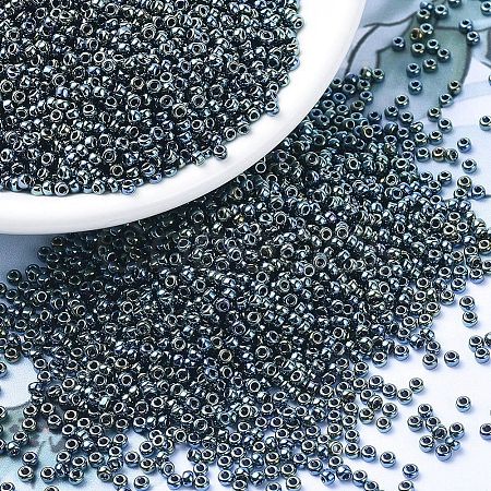 MIYUKI Round Rocailles Beads X-SEED-G007-RR0456-1
