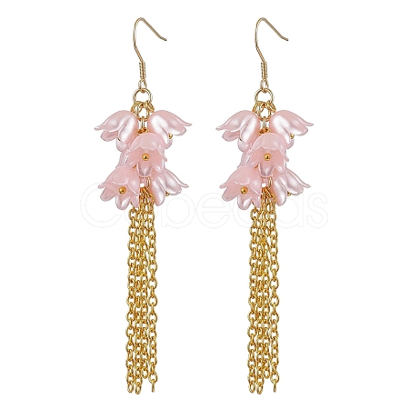 Acrylic Dangle Earrings EJEW-JE06228-02-1