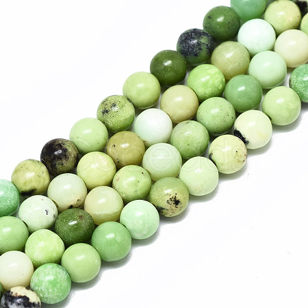 Natural Serpentine Beads Strands G-R485-11-6mm-1