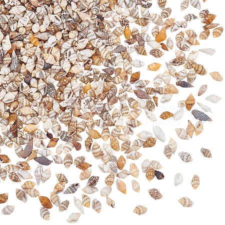 Mini Natural Shell Beads BSHE-PH0001-57A-1