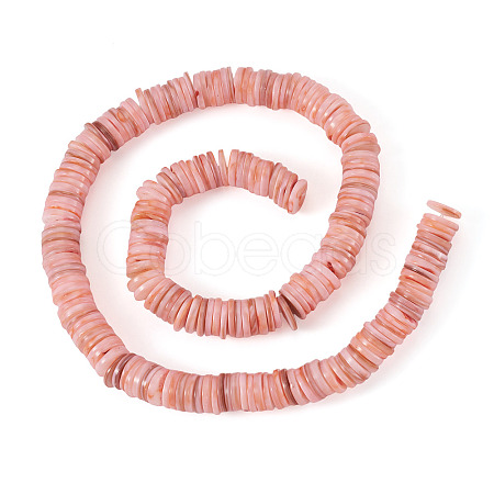 1 Strand Natural Freshwater Shell Beads Strands SHEL-TA0001-35B-1