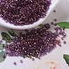 MIYUKI Delica Beads SEED-MY11-DB0117-1