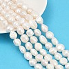 Natural Cultured Freshwater Pearl Beads Strands PEAR-P064-20O-01A-1