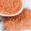 Glass Seed Beads SEED-K009-08B-02-1