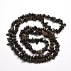 Natural Golden Sheen Obsidian Chip Bead Strands X-G-M205-07-2