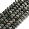 Natural Green Wood Lace Stone Wooden Jasper Beads Strands G-Z111-A15-02-3