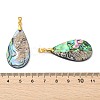 Natural Paua Shell/Abalone Shell Pendants PALLOY-JF05570-3