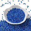 Baking Paint Glass Seed Beads X-SEED-S042-15A-18-2