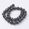 Natural Black Larvikite Bead Strands G-G735-57-12mm-2