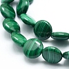 Natural Malachite Beads Strands G-D0011-06-12mm-3