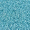 MIYUKI Delica Beads X-SEED-J020-DB1708-3