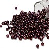 TOHO 6/0 Round Beads SEED-TR06-0502-1