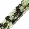 Natural Prehnite Beads Strands G-G980-24-1