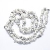 Natural Howlite Beads Strands X-G-O049-B-40-2