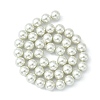 Eco-Friendly Dyed Glass Pearl Round Beads Strands HY-A002-10mm-RB009-3
