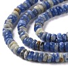 Natural Sodalite Beads Strands G-H292-A08-01-4
