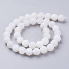 Natural Crackle Agate Beads Strands G-G055-10mm-5-2