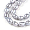 Natural Cultured Freshwater Pearl Beads Strands PEAR-N014-06G-02-4