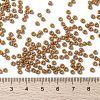 MIYUKI Round Rocailles Beads X-SEED-G008-RR4457-4