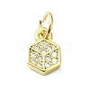 Brass Micro Pave Cubic Zirconia Pendants KK-H475-29B-01G-1