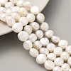 Natural Cultured Freshwater Pearl Beads Strands PEAR-A006-09G-1