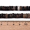 Natural Biotite Beads Strands G-N367-03A-13-5
