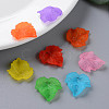 Autumn Theme Transparent Frosted Acrylic Pendants X-PAF002Y-7