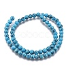 Synthetic Turquoise Beads Strands Z0NDC014-1-2